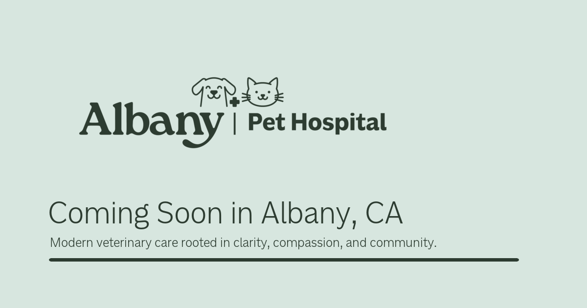 Albany Pet Hospital cover